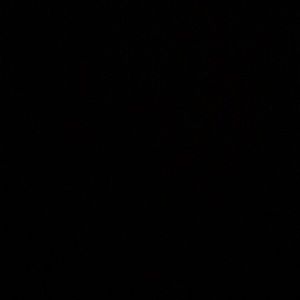 Meet your Posher, Aine